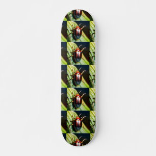 Skate Inclinação
