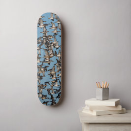 Skate Incrível Patos de inverno no voo