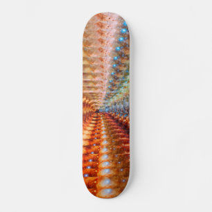 Skate Infinidade de estrela