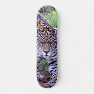 SKATE JAGUAR