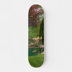 Skate Jardim pacífico