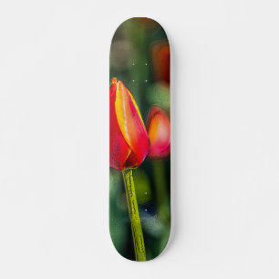 Skate Jardim Textured da tulipa