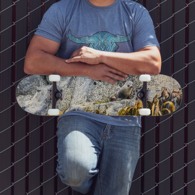 Skate Jovem Selo De Peles Na Rocha (Ao ar livre 3)