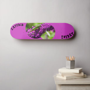 skate katydid energia