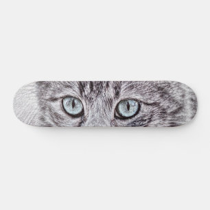 Skate Kitten Adorava Gato De Gatinho Gelado Com Olhos Az