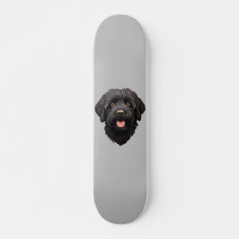 Skate Labradoodle Black Dog