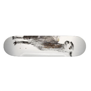 Skate Lama não seu mama