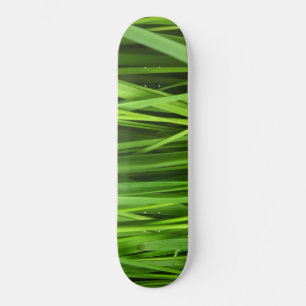 Skate Lâminas de gramíneas