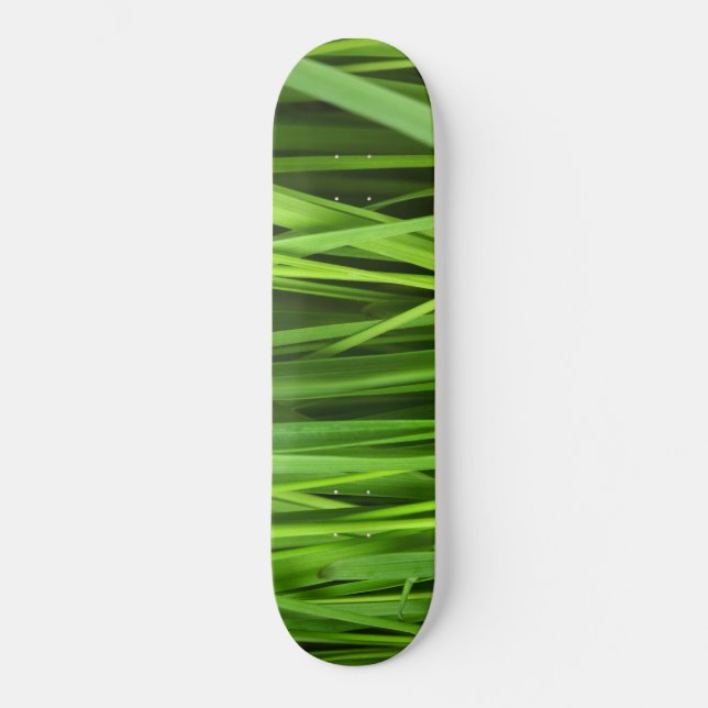 Skate Lâminas de gramíneas (Frente)