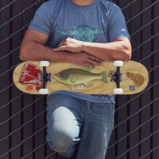 Skate Land, Sea & Air