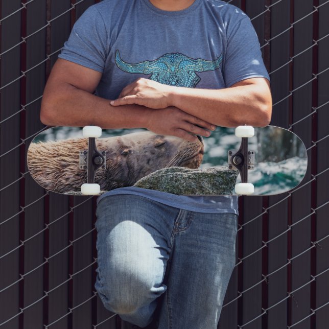 Skate Leão-Do-Mar Na Baía De Ressurreição, Alasca (Ao ar livre 3)