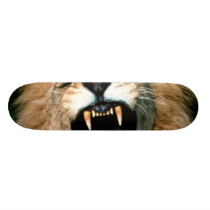 Skate Leão rujir