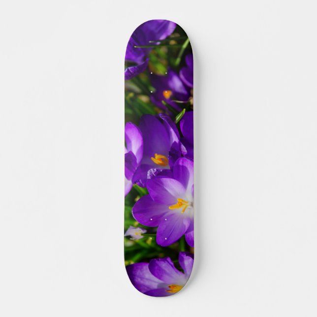 Skate Lilac Crocuses (Frente)