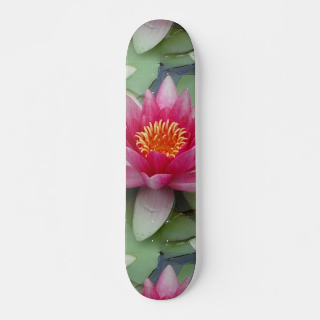Skate Lily de Água do Lotus Rosa (Frente)