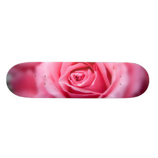 Skate Linda Rosa Rosa