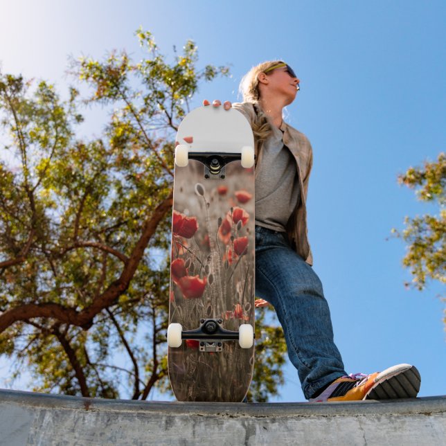 Skate lindas flores de papoila (Ao ar livre 1)