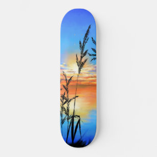 Skate Lindo Lago Sunset - Espelho - Pintura Original