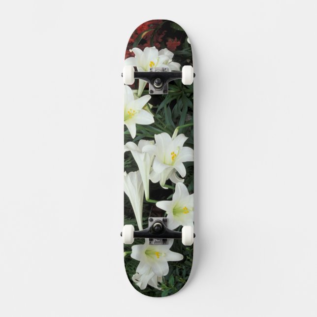 Skate Lírio-de-páscoa (Lilium regale) (Frente)