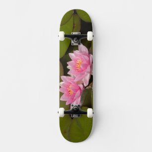 Skate Lírios de água floridos