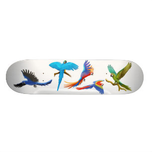 Skate louco do Macaw
