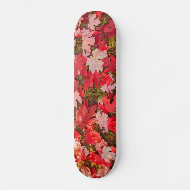 Skate magia cromática do outono Skateboards (Frente)