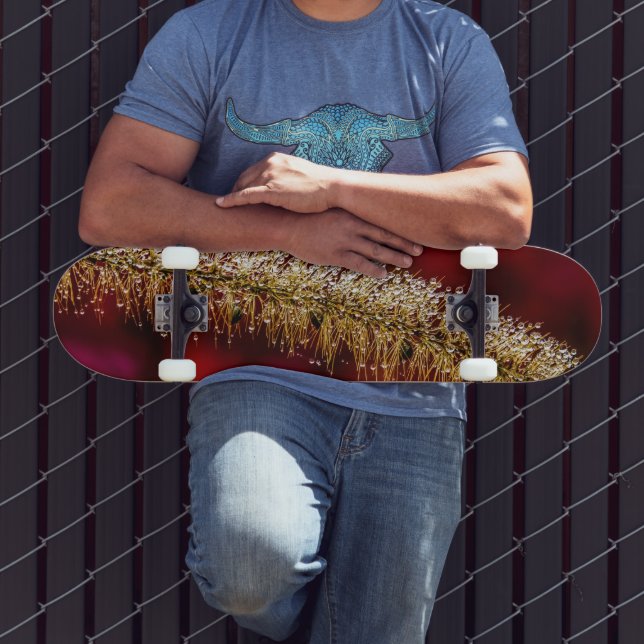 Skate Manhã (Ao ar livre 3)