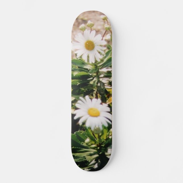SKATE MARGARIDA (Frente)
