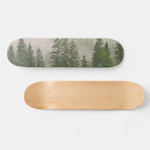 Skate Misty Foggy Forest Trees