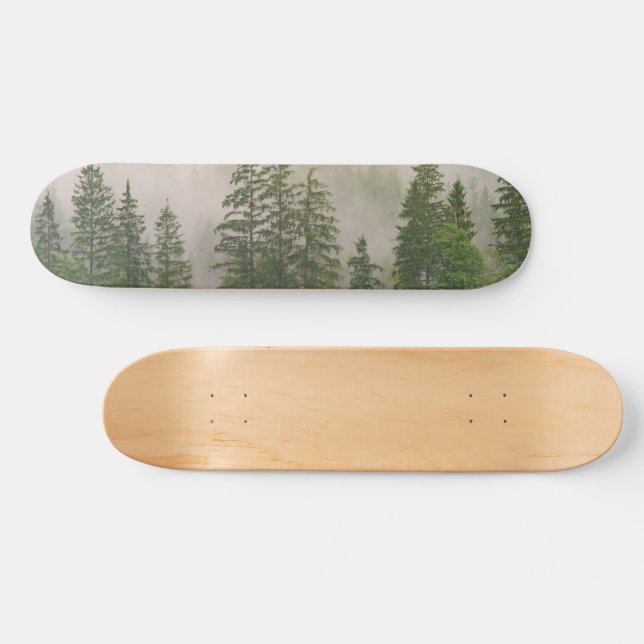 Skate Misty Foggy Forest Trees (Horz)