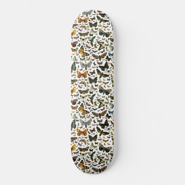 Skate Modelo (Frente)