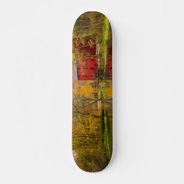 Skate Moinho e Fonte de Alley (Frente)