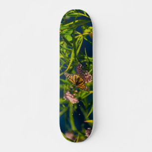 Skate Monarch E Milkweed