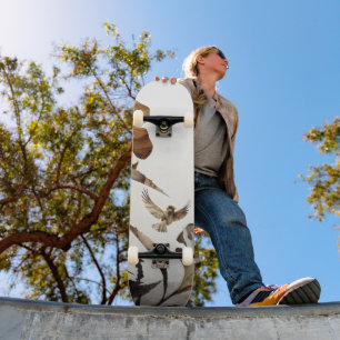 Skate Montanha Nebulosa Zen Pássaros Minimalista Naturez