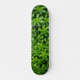 Skate Moss Abstrato