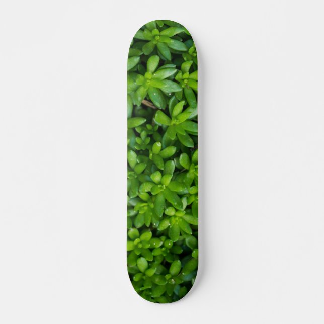 Skate Moss Abstrato (Frente)
