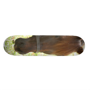Skate Muito cavalo da castanha