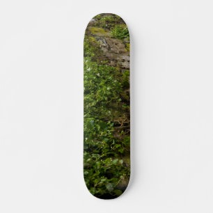 Skate Muro De Ivy