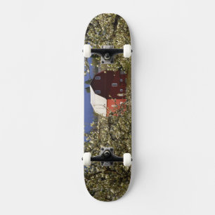 Skate N.A., EUA, Oregon, Condado de Hood River. Vermelho
