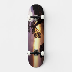 Skate NA, EUA, Arizona, Tucson, Pôr do sol e solitária