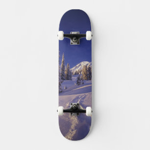 Skate NA, EUA, Washington, Monte Rainier NP, Snowshoe