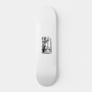 Skate na sombra da floresta