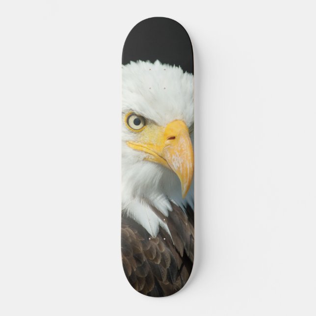 skate - Nature Bird Eagle (Frente)