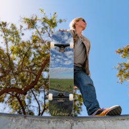 Skate Nature sky