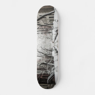 Skate Neve de Natal Urbana no Brooklyn NY