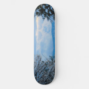 Skate Neve em Pinheiros nas Montanhas Rochosas do Colora