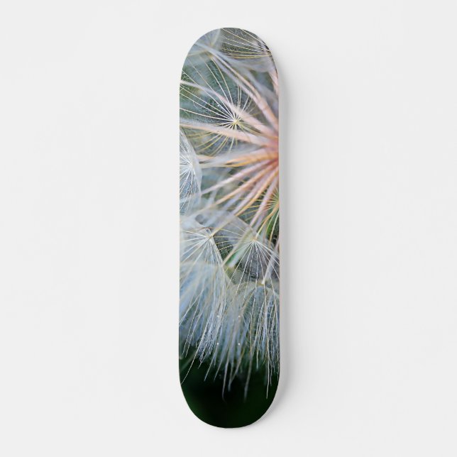 Skate Novos Desejos (Frente)