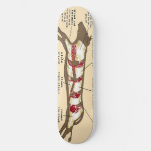 Skate O conselho Mobber da carne