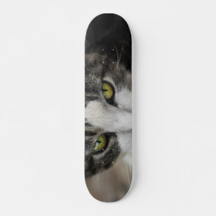 Skate O olhar do bebê