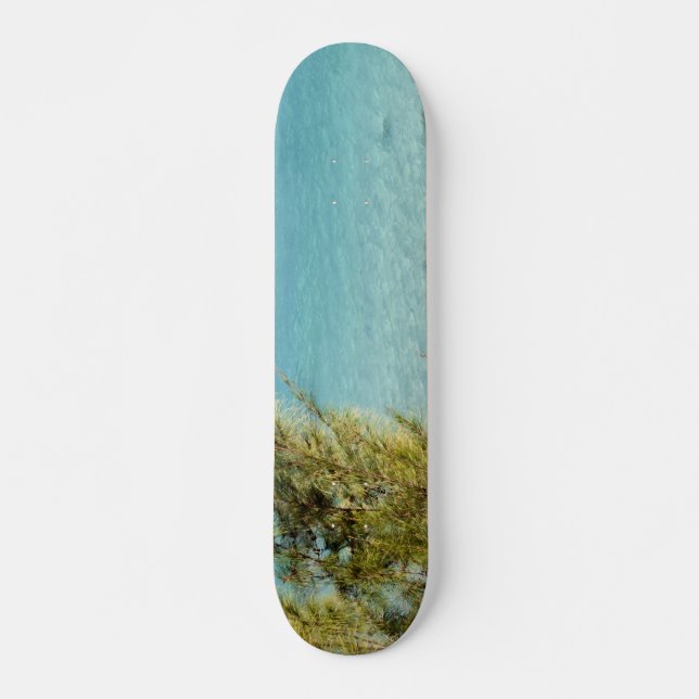 Skate Oceano (Frente)