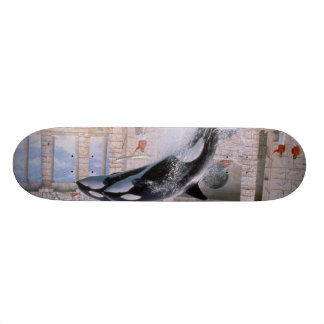 Skate Orca